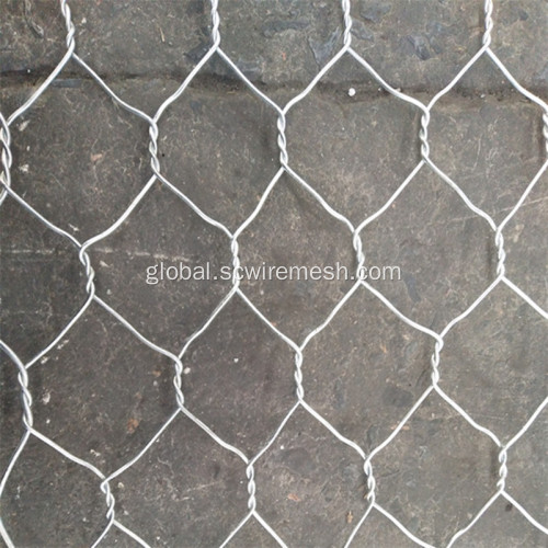 Galvanized Hexagonal Mesh Free Sample Galvanized Chicken Hexagonal Wire Mesh Cage Manufactory